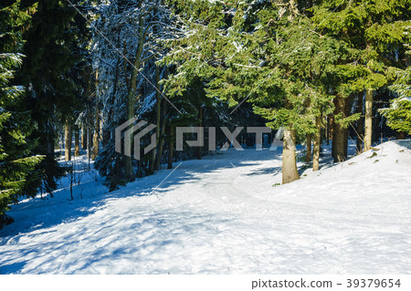 Winter with snow in the Giant Mountains 39379654