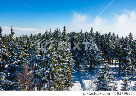 Winter with snow in the Giant Mountains Winter with snow in the Giant Mountains 39379655