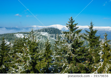 Winter with snow in the Giant Mountains Winter with snow in the Giant Mountains 39379656