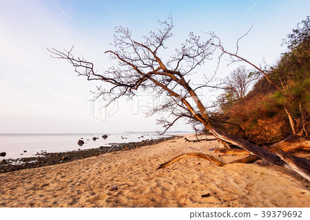Baltic Sea coast on the island Ruegen, Germany Baltic Sea coast on the island Ruegen, Germany 39379692