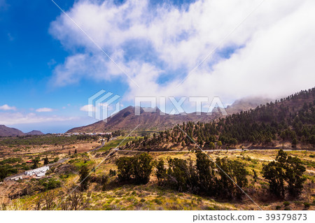 Landscape on the canary island Tenerife 39379873