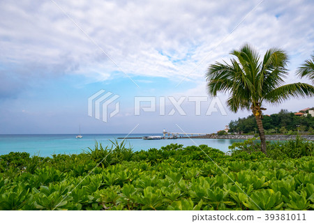 沖繩名護市Busena海洋公園 39381011