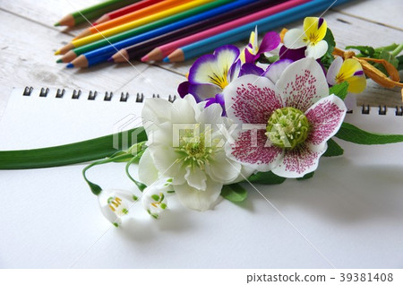 春天的花朵和彩色的鉛筆 39381408