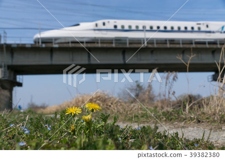 東海道新幹線和蒲公英 39382380
