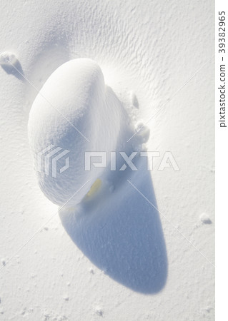 A snowy figure A snowy figure 39382965
