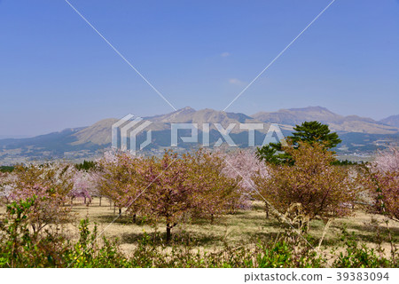 從Aso Aspecta查看 39383094