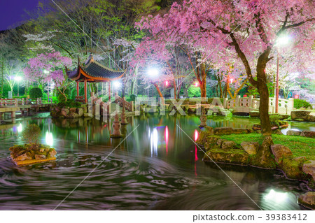 日中友好花園的花筏 39383412