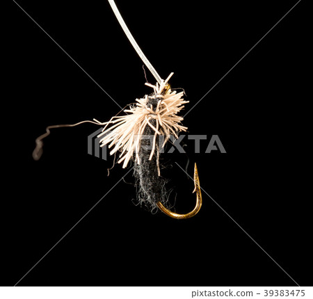 fly to catch fish on a black background fly to catch fish on a black background 39383475