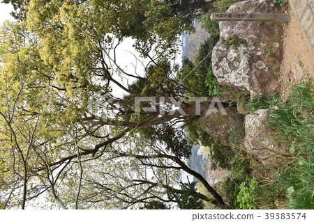 知床在下田的石頭分裂者（栃木的活力） 39383574