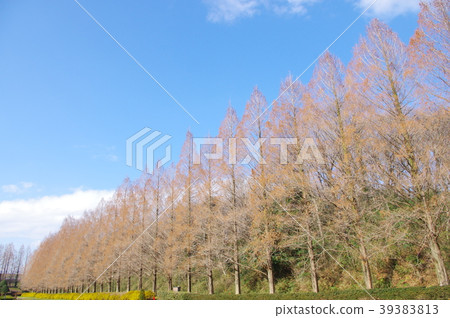 View of Sagamihara Park View of Sagamihara Park 39383813