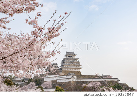 Himeji Castle in spring Himeji Castle in spring 39385047