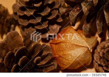Autumn objects 39385746