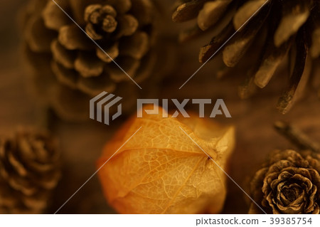 秋天的對象 秋天的對象 39385754