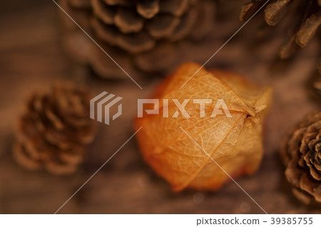 Autumn objects Autumn objects 39385755
