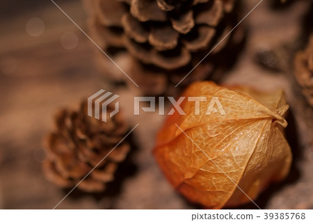 Autumn objects 39385768