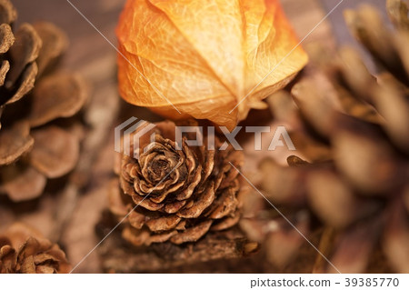 秋天的對象 秋天的對象 39385770