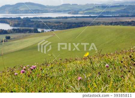 Summer hills wildflowers close to Liptovska Mara 39385811
