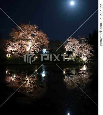 小島鐵路_伊勢站和櫻花和月亮 39386266