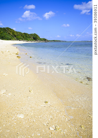 Ocean sand beach Okinoerabu-jima landscape Ocean sand beach Okinoerabu-jima landscape 39386911