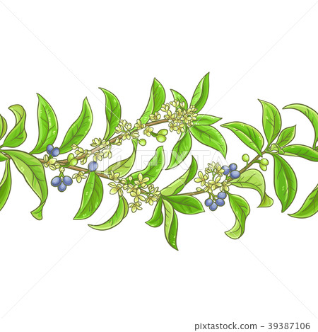 osmanthus  vector pattern 39387106
