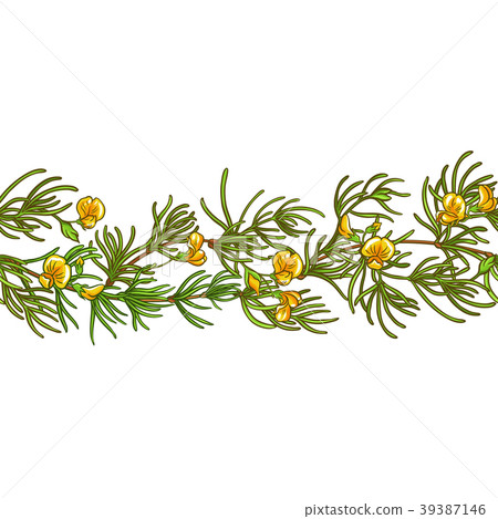 rooibos branch vector pattern rooibos branch vector pattern 39387146