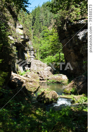 Kamnitz gorge, Bohemia, Czech Republic 39388173