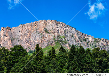 Mountain landscape with rocks and forest Mountain landscape with rocks and forest 39388334