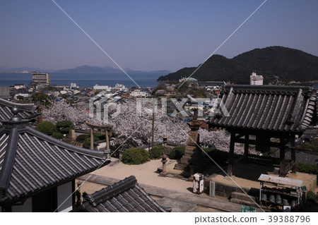 Japan Heritage - Kono Urdo - Gionji Temple where you can see the cherry blossoms and the sea 39388796