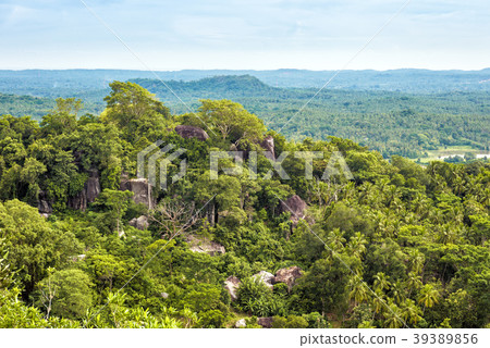 Landscape of Sri Lanka Landscape of Sri Lanka 39389856