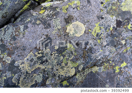 background, texture: surface of a granite boulder background, texture: surface of a granite boulder 39392499