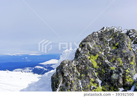 covered with lichen boulder in the highlands 39392500