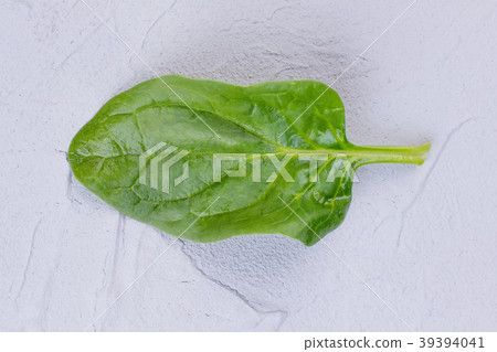 Green juicy basil leaf. Green juicy basil leaf. 39394041