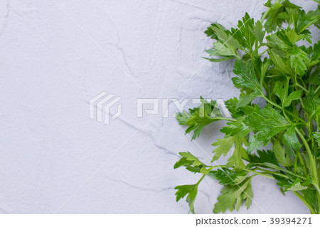Bunch of fresh garden parsley, text space. Bunch of fresh garden parsley, text space. 39394271