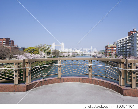 名古屋Atsuta區城市風景從立交橋看名古屋國際會議中心和名古屋中央車站 39394404