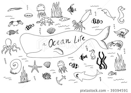 Hand drawn vector set with ocean life. Hand drawn vector set with ocean life. 39394591
