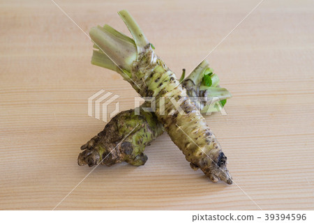 wasabi wasabi 39394596