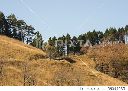Tomine plateau sightseeing image (Kanzaki-gun, Kamikawa-cho, Hyogo Prefecture) 39394685