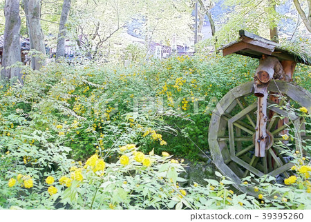 Yamabuki and the water mill 39395260