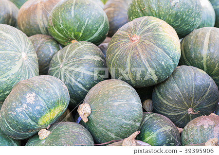 Bunch of green pumpkins for sale Bunch of green pumpkins for sale 39395906