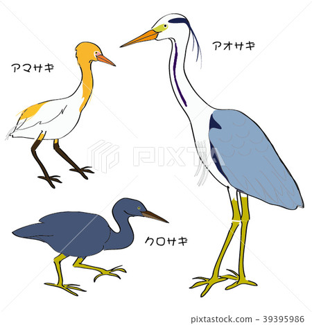 蒼鷺的研究員 39395986