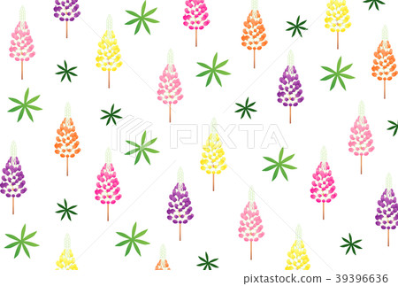 羽扇豆 羽扇豆 39396636