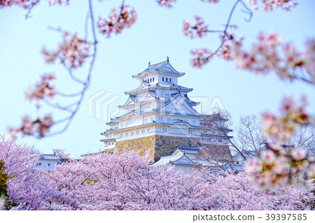 Himeji Castle in spring Himeji Castle in spring 39397585