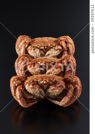 發蟹（發蟹） 39397612