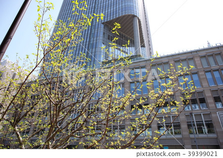 Hibiya area scenery 39399021