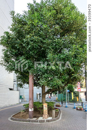 Yotsuya Naito Fuji Shinjuku 39399470