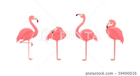 Set of flamingos on background. illustration. 39400016