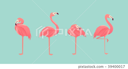 Set of flamingos on background. illustration. 39400017