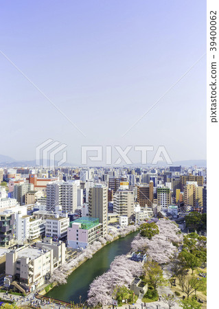 Fukuoka city scenery Tenjin Chuo Park in full bloom Fukuoka city scenery Tenjin Chuo Park in full bloom 39400062