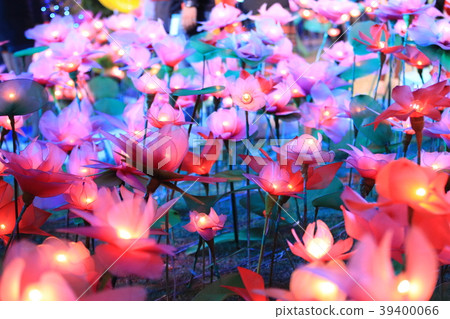 The flowers change color yet 39400066