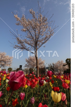 台場景觀 39400103